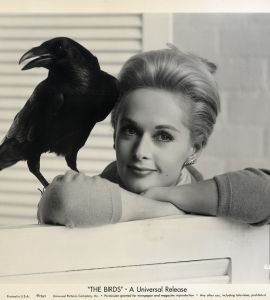 TIPPI HEDREN | THE BIRDS (1963) Photo