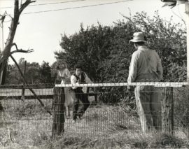 BONNIE AND CLYDE (1967) / BY FLOYD MCCARTY