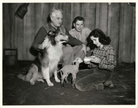 ELIZABETH TAYLOR / THE COURAGE OF LASSIE (1946)