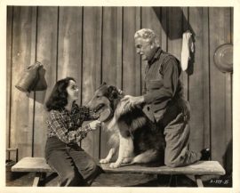 ELIZABETH TAYLOR / THE COURAGE OF LASSIE (1946)