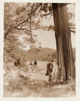 SUNRISE (1927)