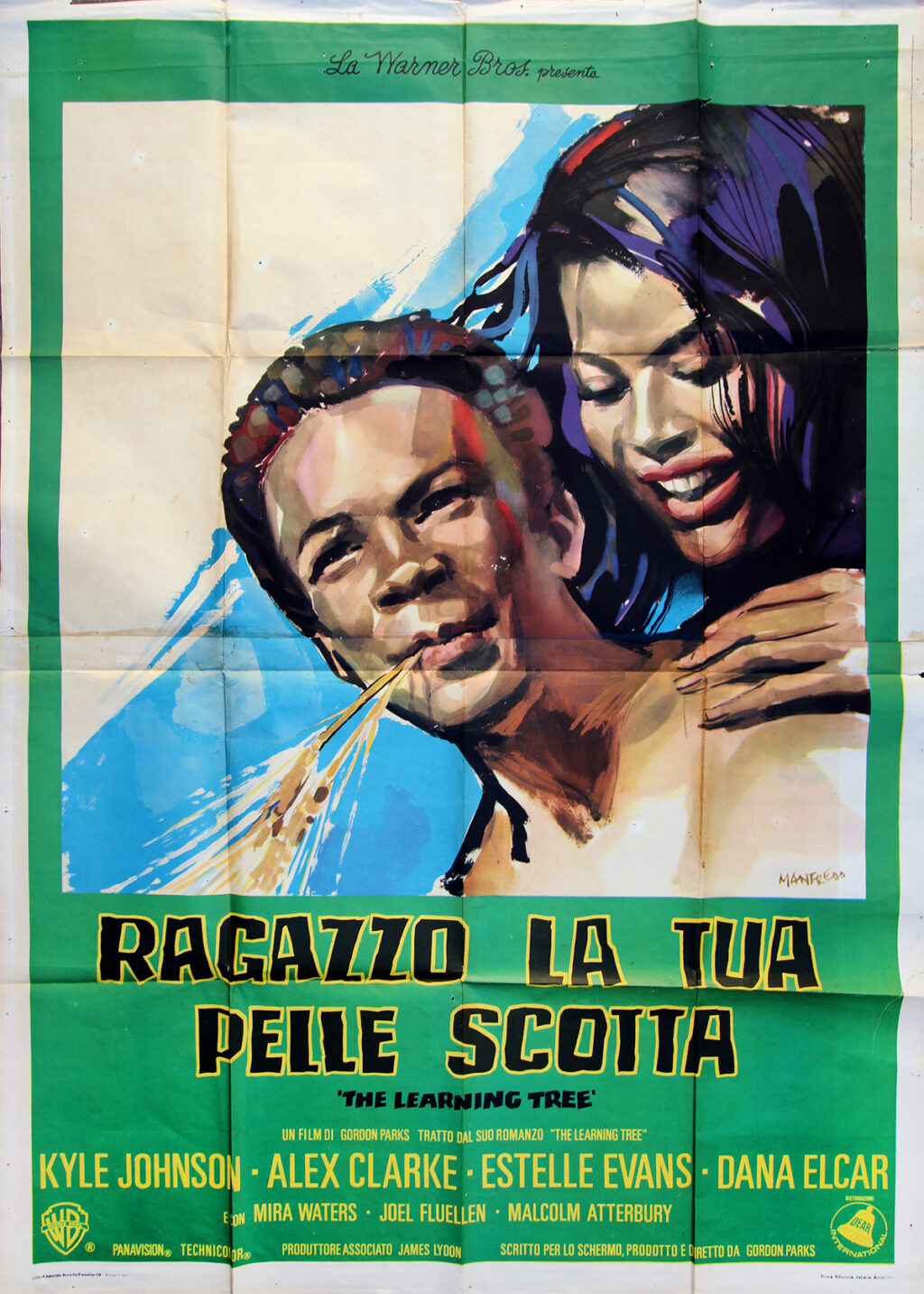 LEARNING TREE, THE [RAGAZZO LA TUA PELLE SCOTTA] (1969) Italian poster - 2