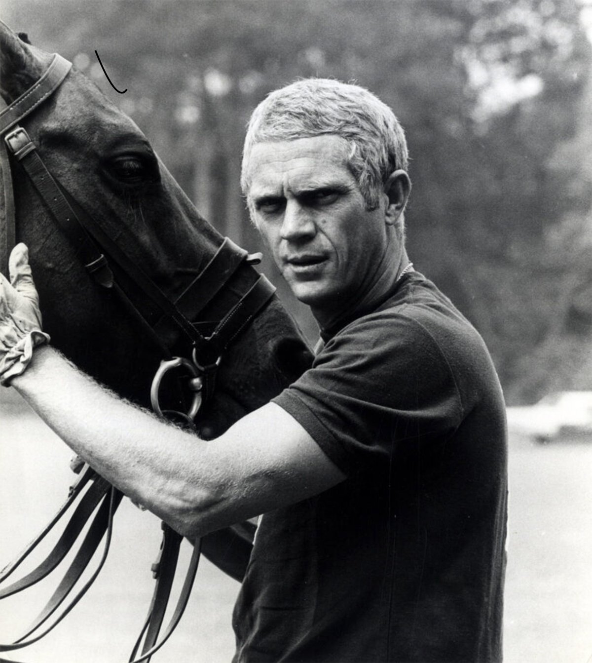 Portrait of Steve McQueen - The Thomas Crown Affair | WalterFilm