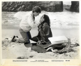 SANDPIPER, THE (1965) Set of 8 photos