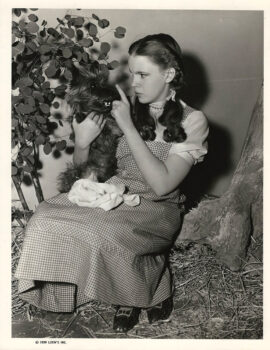 WIZARD OF OZ, THE (1939) BTS Judy Garland scolds Toto