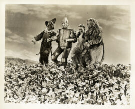 WIZARD OF OZ, THE (1939) Photo of poppy field with snow