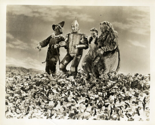 WIZARD OF OZ, THE (1939) Photo of poppy field with snow