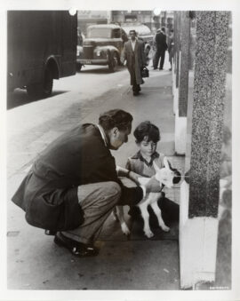 CAROL REED DIRECTS | A KID FOR TWO FARTHINGS (1955) Set of 4 UK photos