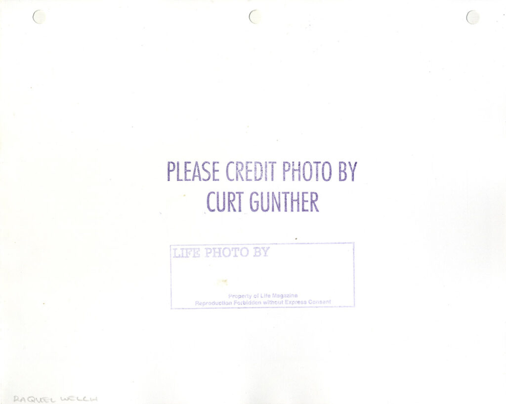 RAQUEL WELCH (ca. 1966) Set of 6 portraits by Curt Gunther