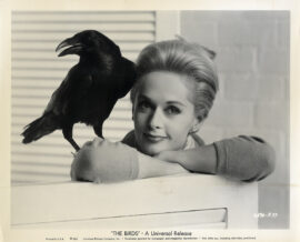 TIPPI HEDREN | THE BIRDS (1963) Photo