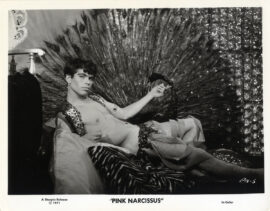 PINK NARCISSUS (1971) Photo