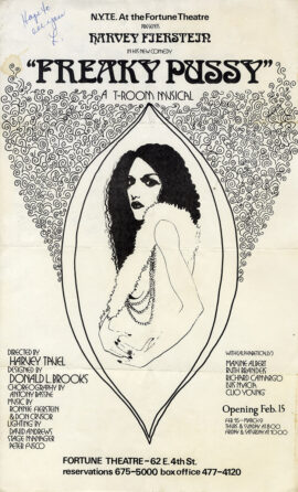 Harvey Fierstein's FREAKY PUSSY A T-ROOM MUSICAL (1973) Theatre poster